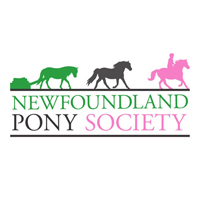 Newfoundland Pony Society