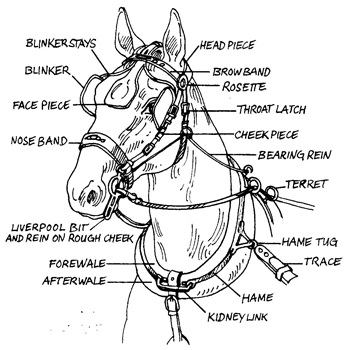 Pony Harness Parts Bridle