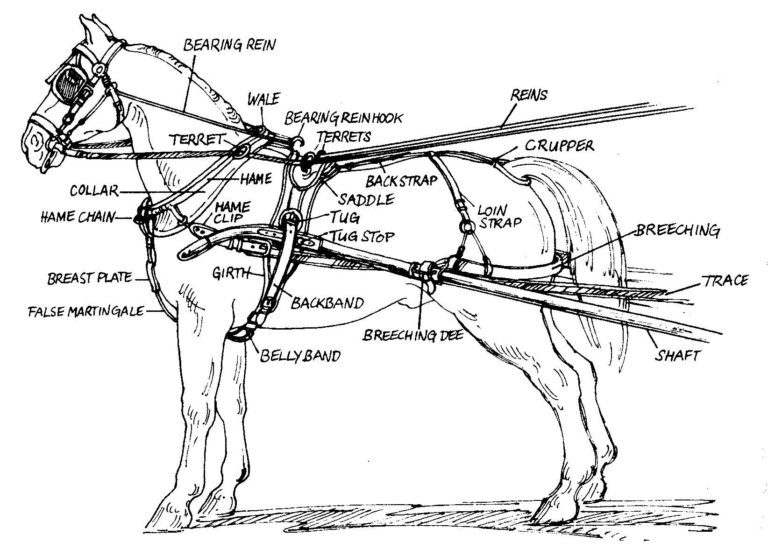 Pony Harness Parts