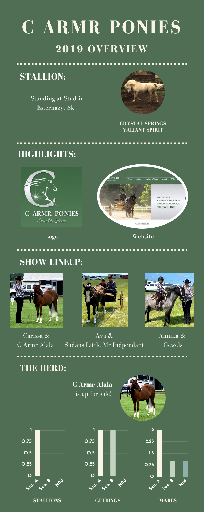C Armr Ponies Overview 2019