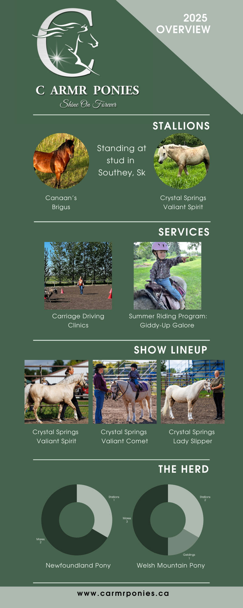 C-Armr-Ponies-Overview-2025